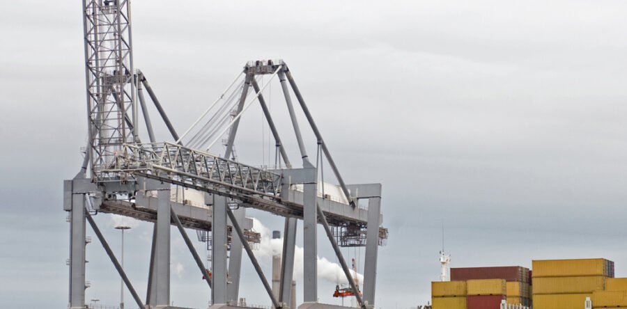 Donec vitae scelerisque